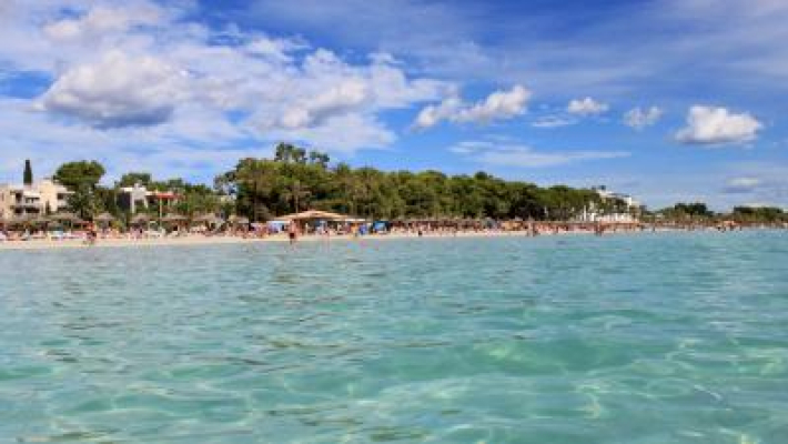 Transfer Alcudia - Aeropuerto de Palma