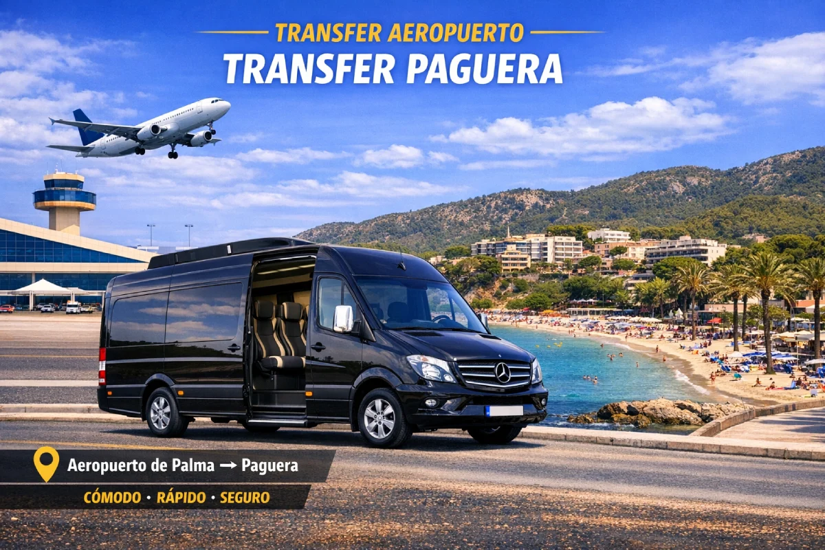 Privater Transfer Paguera Flughafen Palma